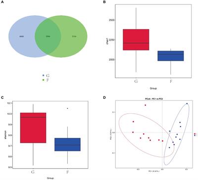 Intensive feeding alters the rumen microbiota and its fermentation parameters in natural grazing yaks